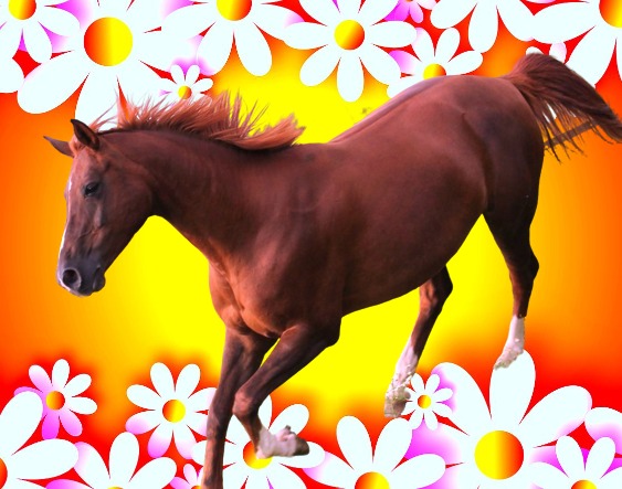 Лошадь скачет на фоне желто-красных цветов - Весёлые конкурсы на праздник 8 Марта