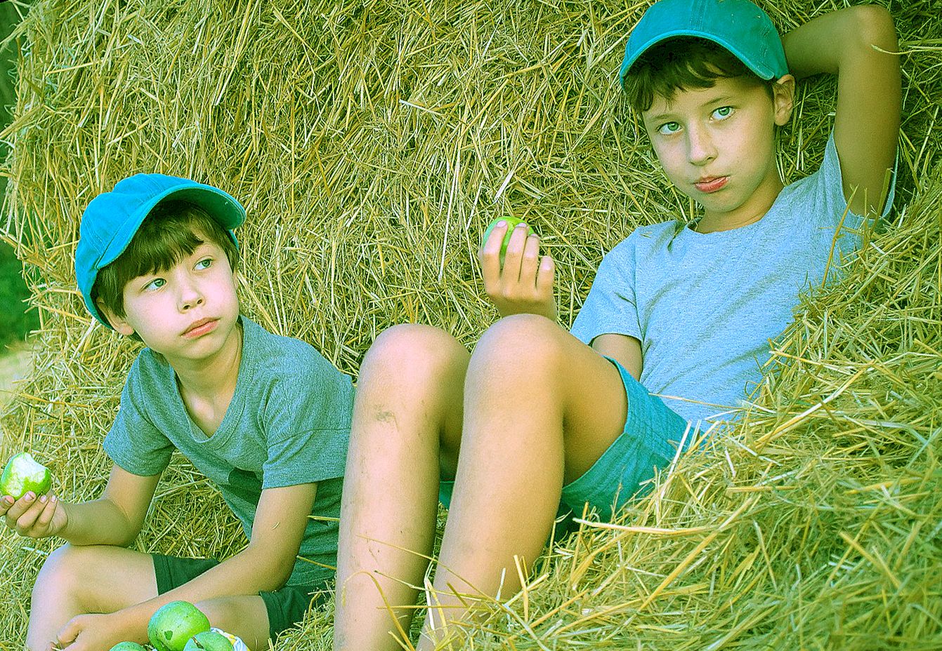 Дети, сено, яблоки, деревня, село - Смешное сочинение: «Как я провел лето!»