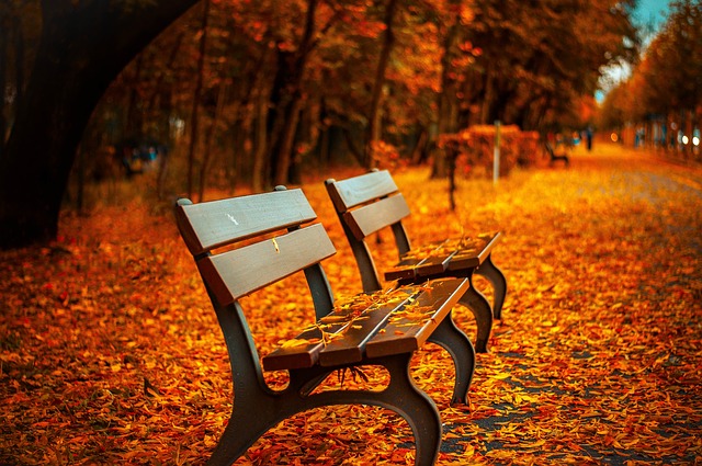 Осенний бал для старшеклассников - скамья парк осень листья желтые дорожка в листве багряной