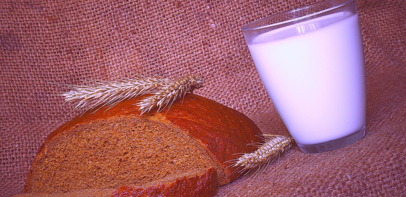 хлеб, молоко, стакан - Смешное сочинение: «Как я провел лето!»