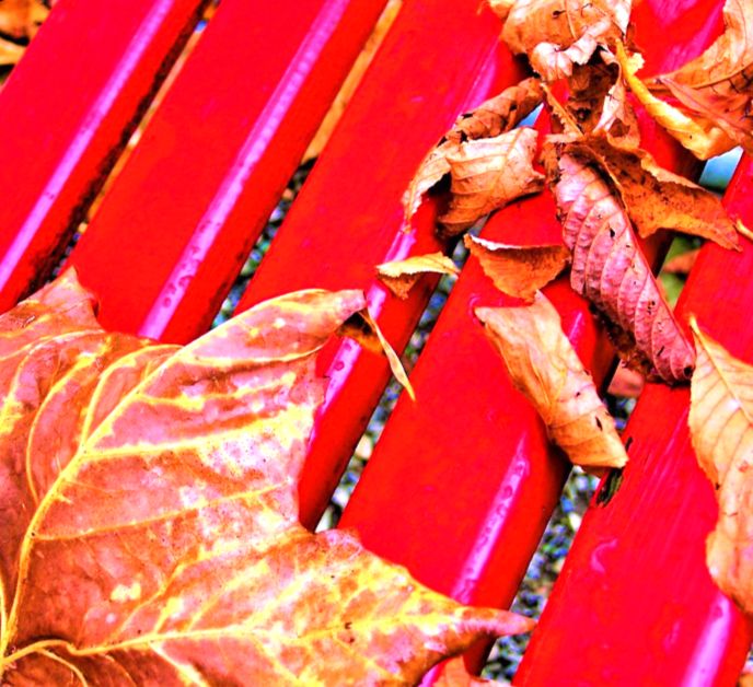 Красная скамейка, жёлтые листья - Праздник "Золотая осень"