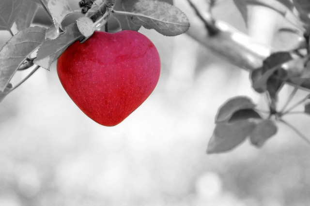 8 Марта - сценарий праздника - красное яблоко на дереве